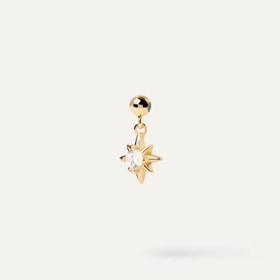 Northen Star Charm